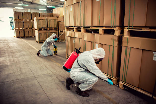 Best Affordable Pest Control Services  in Laguna Beach, FL