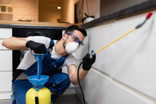 Best Ant Control Services  in Laguna Beach, FL