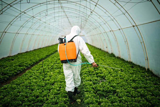 Best Best Pest Control Companies  in Laguna Beach, FL