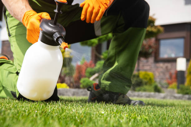 Best Affordable Pest Control Services  in Laguna Beach, FL