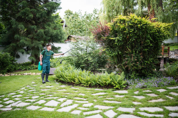 Laguna Beach, FL Pest Control Pros
