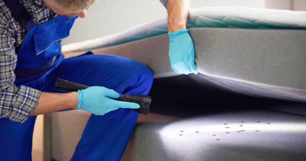 Pest Prevention Services in Laguna Beach, FL