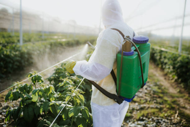Best Cockroach Control Services  in Laguna Beach, FL